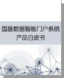 NG体育数据智能门户系统产品白皮书