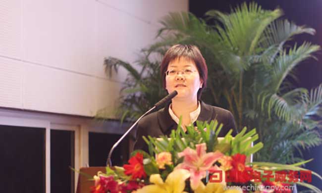 NG体育互联总经理、首席规划师郑爱军进行《基于大数据的政府网站平台规划评测新思路》为题的演讲