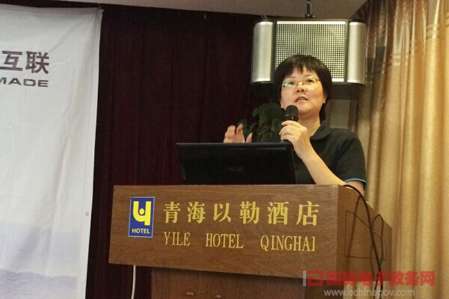 NG体育互联总经理、首席规划师郑爱军正在进行《政府网站+评估体系构建思路》的主题演讲