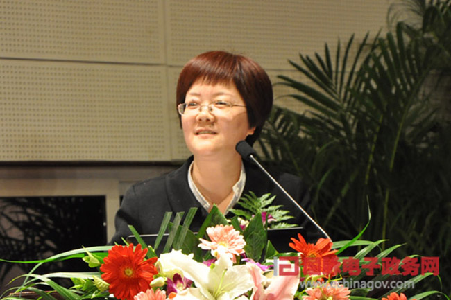 郑爱军：“政府网站+”的认识与实践