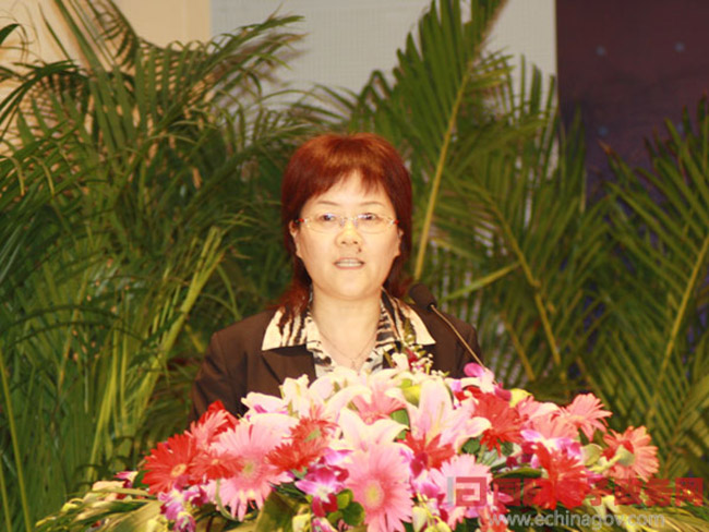 北京NG体育互联信息顾问有限公司总经理、首席规划师郑爱军女士正在做《从电子政务到智慧政府：NG体育的思考与实践》为题的主题发言