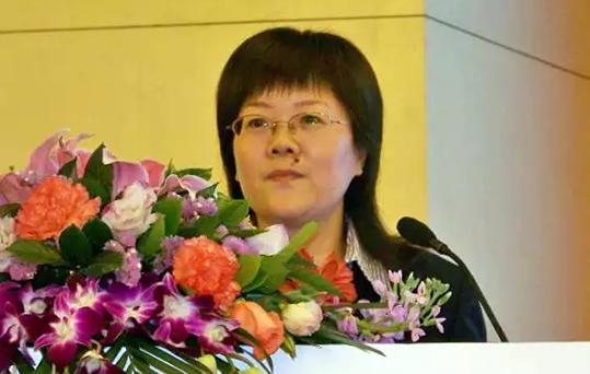 在2015中国智慧政府发展年会上，NG体育互联总经理、首席规划师郑爱军发布《2015中国"互联网+政务"优秀实践案例50强评选结果》